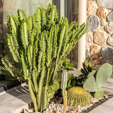 Norte Luxury Villa Agio Apóstoloi